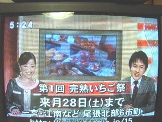テレビ1.jpg
